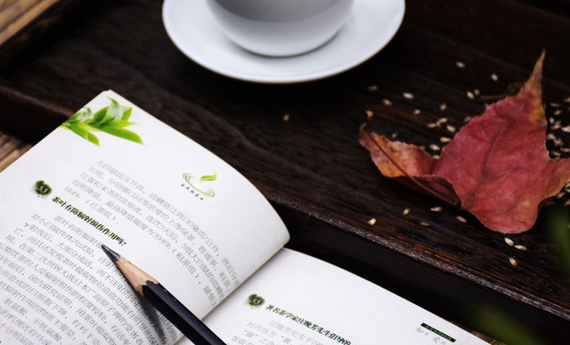 群山回唱读后感(4篇)