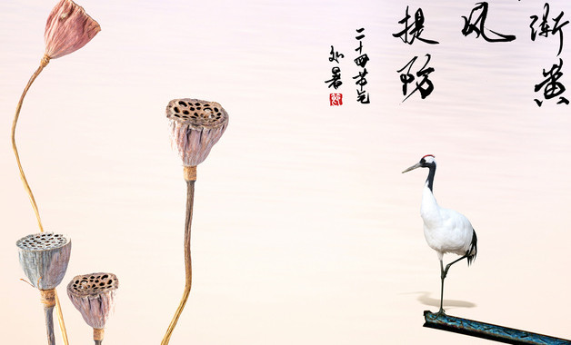 听观后感后(8篇)