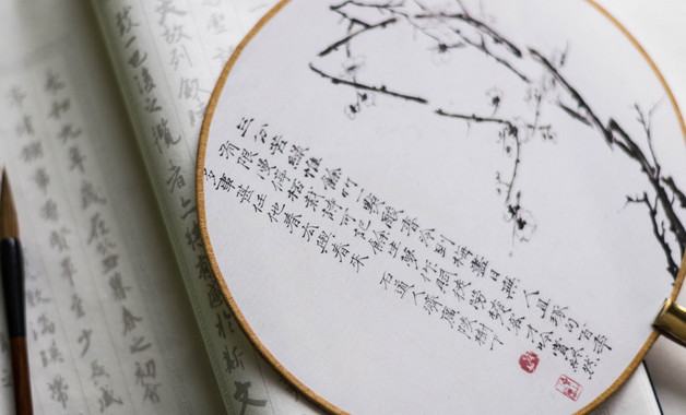 狗来了读后感