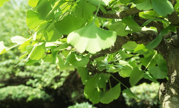 《少先队员》读后感范文（精选）