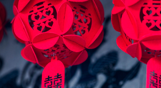 过年了家里摆什么树好看